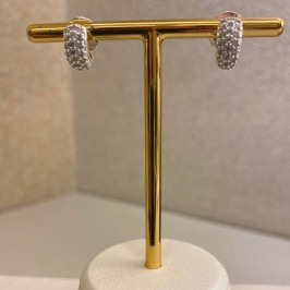 Brinco Rosa do Sol Prata