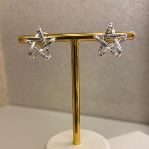 Brinco Beatriz Prata