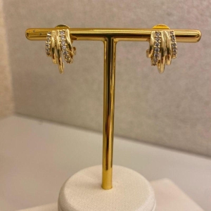 Brinco garras lisas e cravejadas